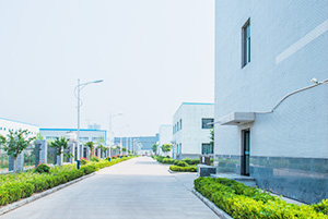 自公司成立以來，以振興和發(fā)展我國貴金屬催化劑和催化工藝為己任，已研究、開發(fā)出了活性炭負(fù)載，氧化物負(fù)載，有機(jī)物負(fù)載貴金屬催化劑，均相催化劑，手性催化劑，專用催化劑等上百種催化劑，以及一百多種催化合成/反應(yīng)工藝技術(shù)。